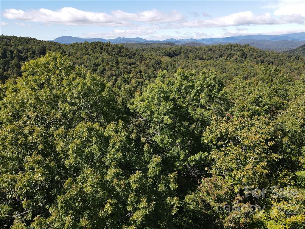 333 Ladd Ridge Road Rosman, NC 28772 - Photo 8 of 40 Gallery Image 8