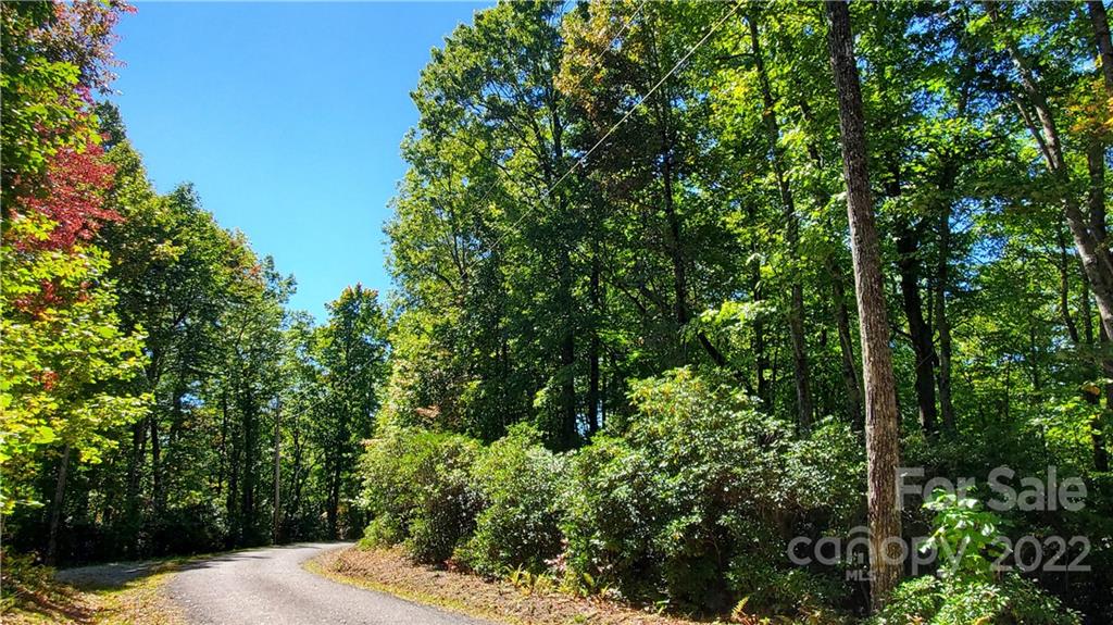 333 Ladd Ridge Road Rosman, NC 28772 - Photo 9 of 40 Gallery Image 9