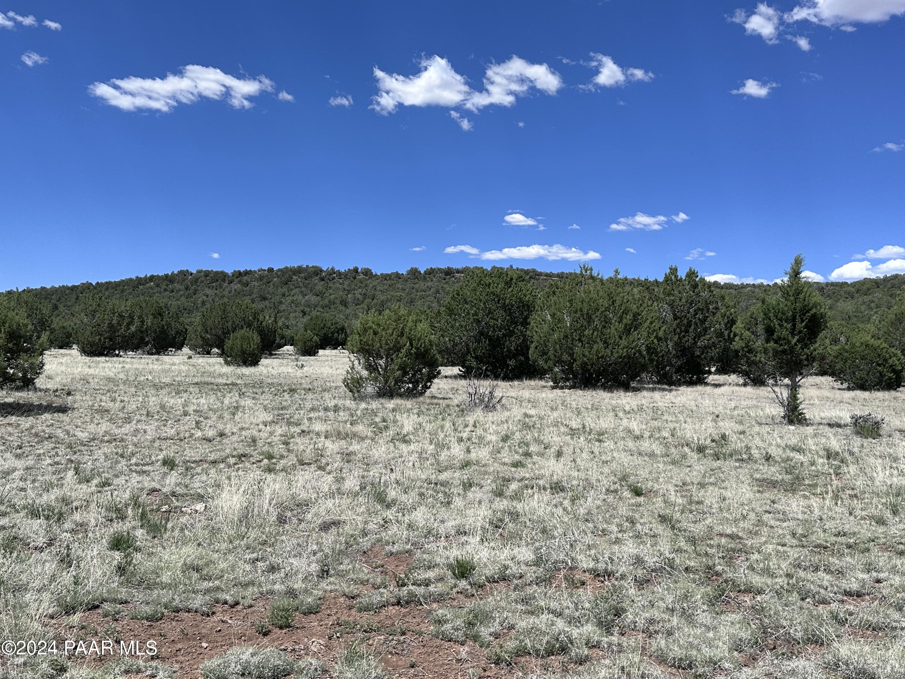 712- North Midnight Sky Road Seligman, AZ 86337 - Photo 4 of 10 IMG_4617