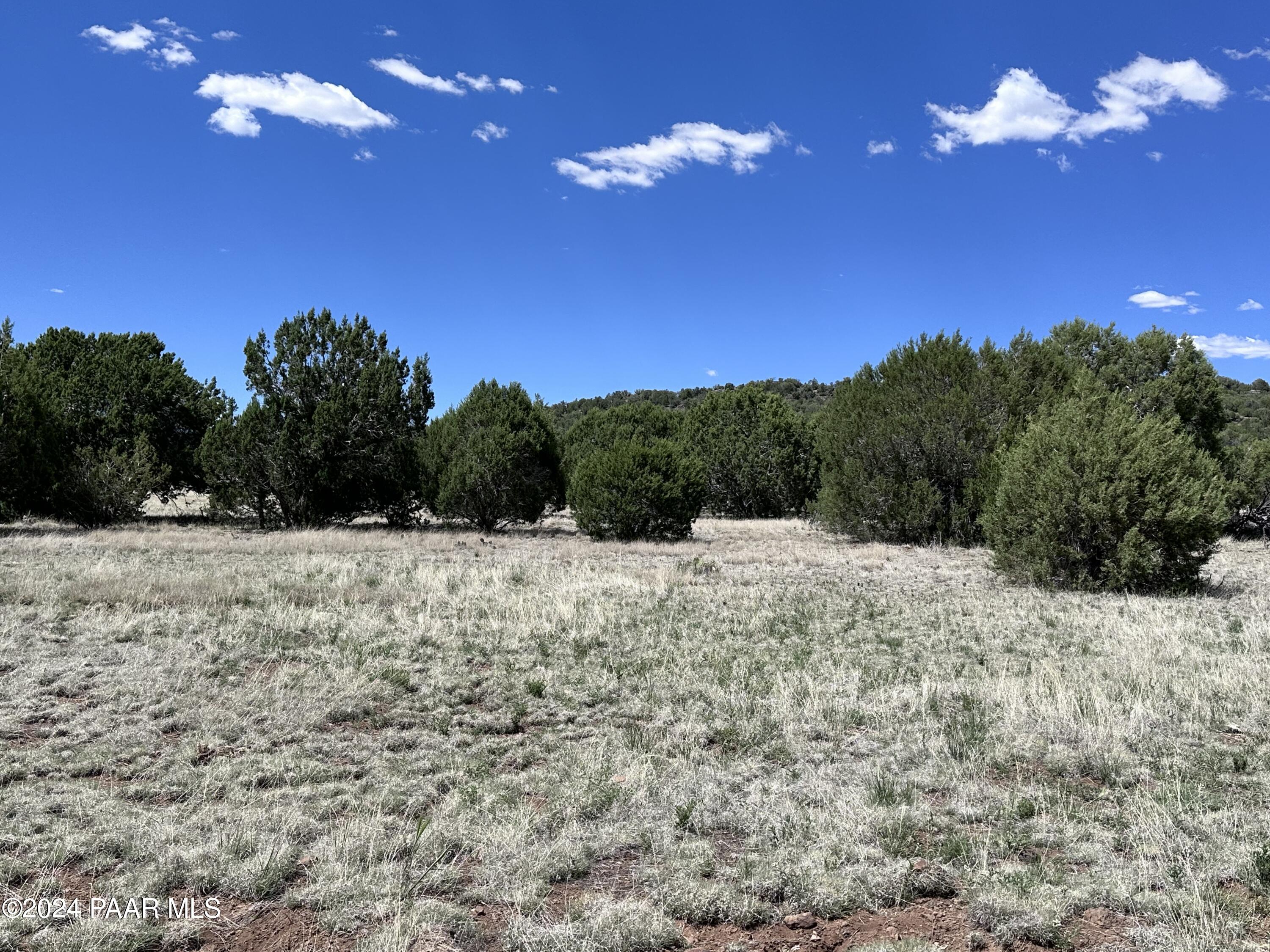 712- North Midnight Sky Road Seligman, AZ 86337 - Photo 5 of 10 IMG_4618