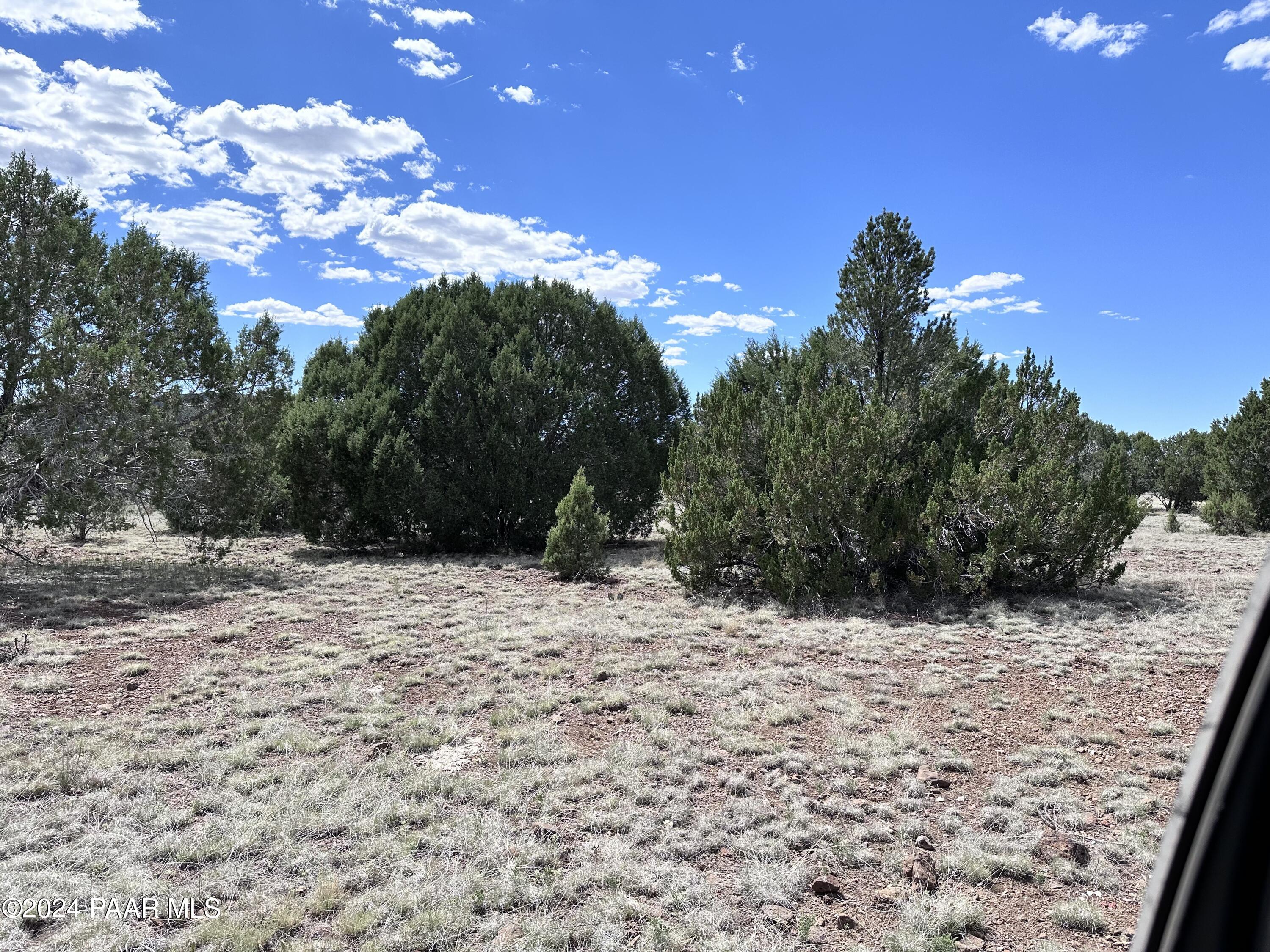 712- North Midnight Sky Road Seligman, AZ 86337 - Photo 8 of 10 IMG_4625