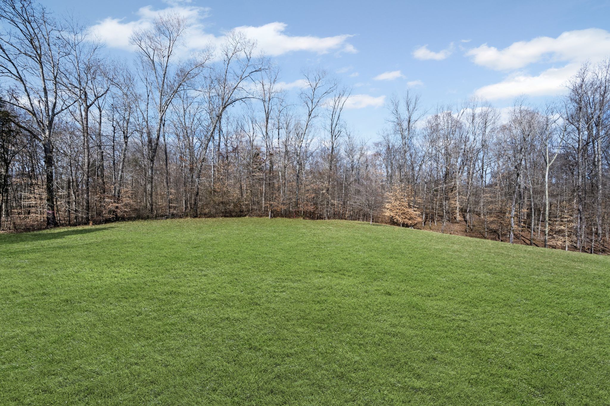 1069 Old County House Road Charlotte, TN 37036 - Photo 40 of 43 Gorgeous Views From the Deck