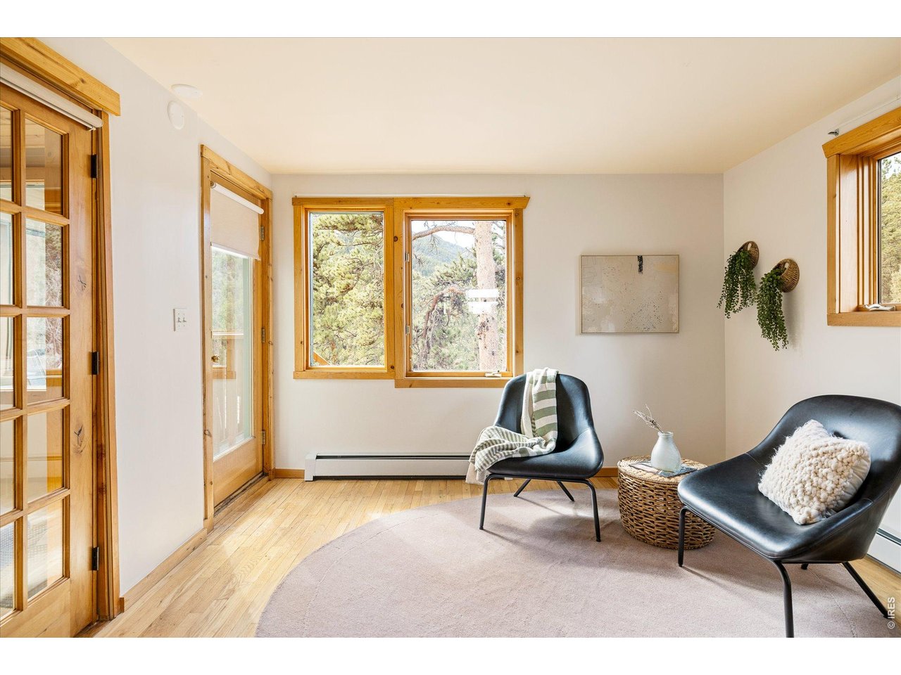 187 Nugget Hill Road Jamestown, CO 80455 - Photo 14 of 34 a living room with furniture and a window