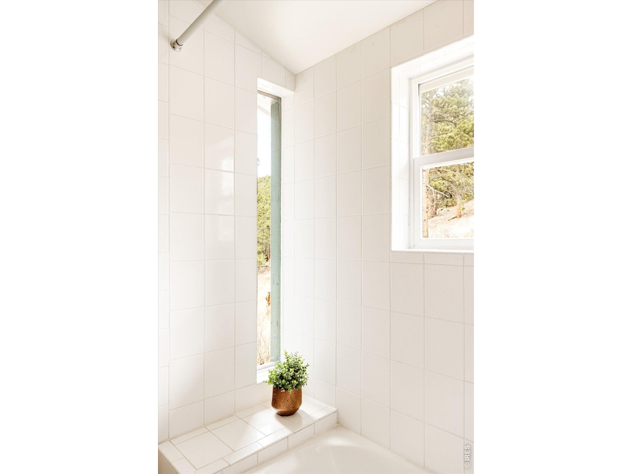 187 Nugget Hill Road Jamestown, CO 80455 - Photo 25 of 34 a room with a window and a potted plant