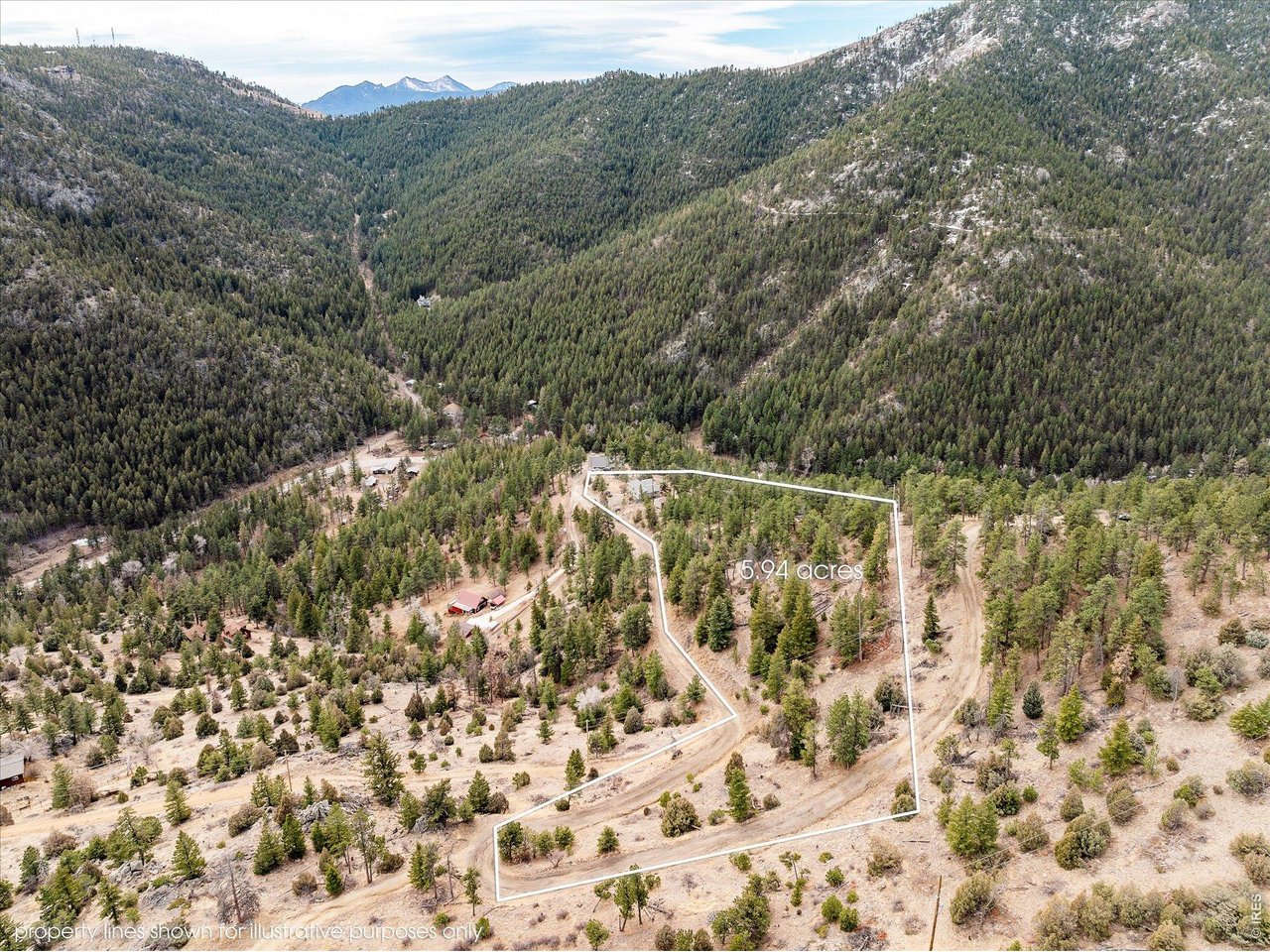 187 Nugget Hill Road Jamestown, CO 80455 - Photo 32 of 34 a view of a forest with a mountain view