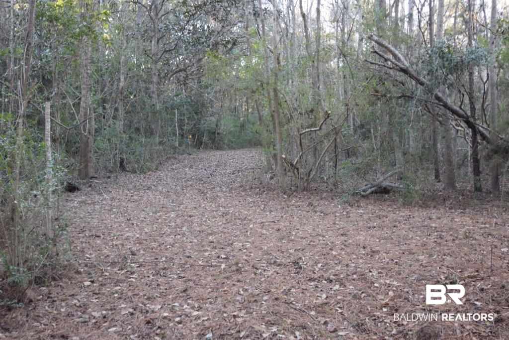 0 Riviere Du Chien Mobile, AL 36693 - Photo 12 of 17