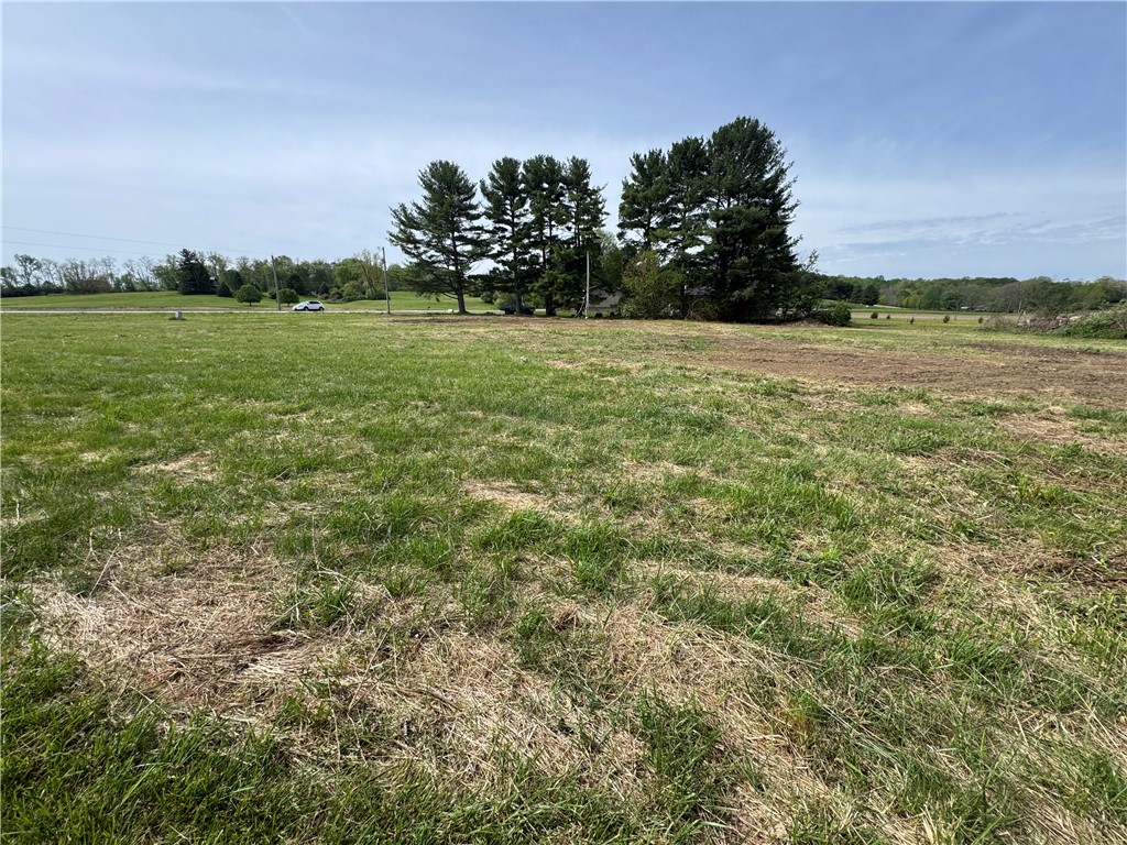 5400 Runkle Road St. Paris, OH 43072 - Photo 11 of 16 Expansive green lot offering a canvas for your vision, surrounded by mature trees and open skies.