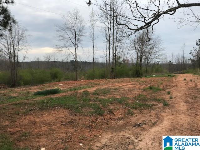 2651 Owens Road, Unit 31 ACRES Ashland, AL 36251 - Photo 4 of 7