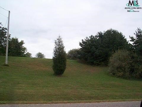 0 Pebble Creek Road Metamora, MI 48455 - Photo 1 of 1 886862.JPG