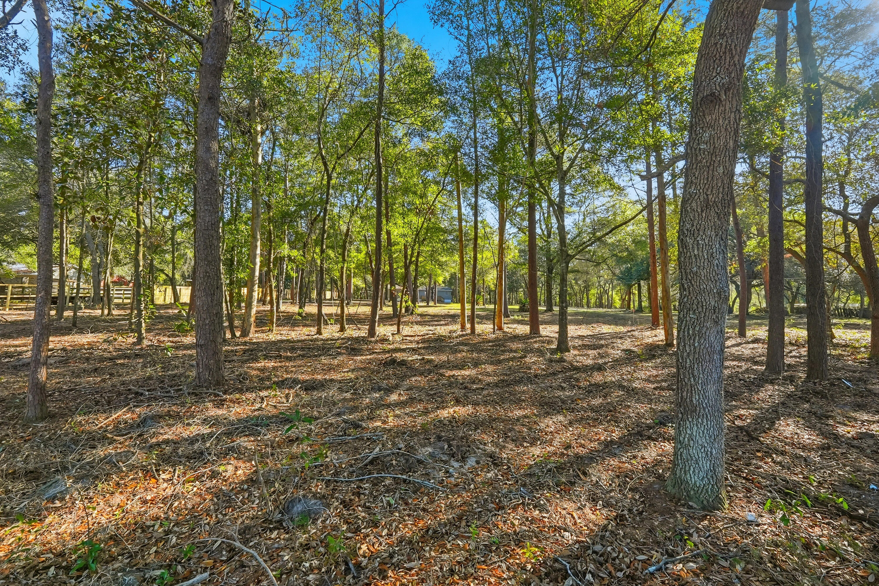 482 Roberts Road East DeFuniak Springs, FL 32433 - Photo 50 of 61 a view of a trees with yard
