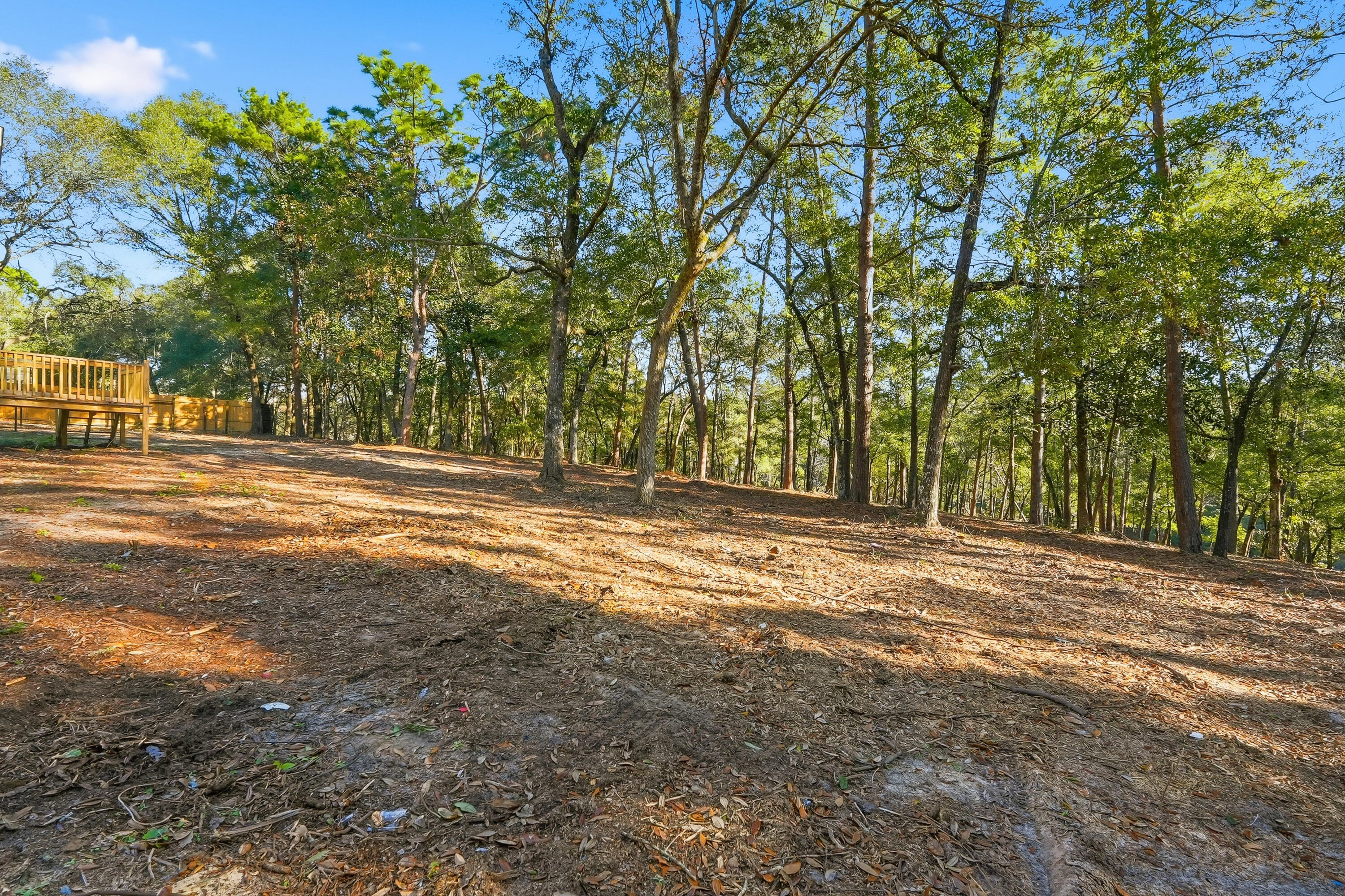 482 Roberts Road East DeFuniak Springs, FL 32433 - Photo 55 of 61 a view of a yard with large trees