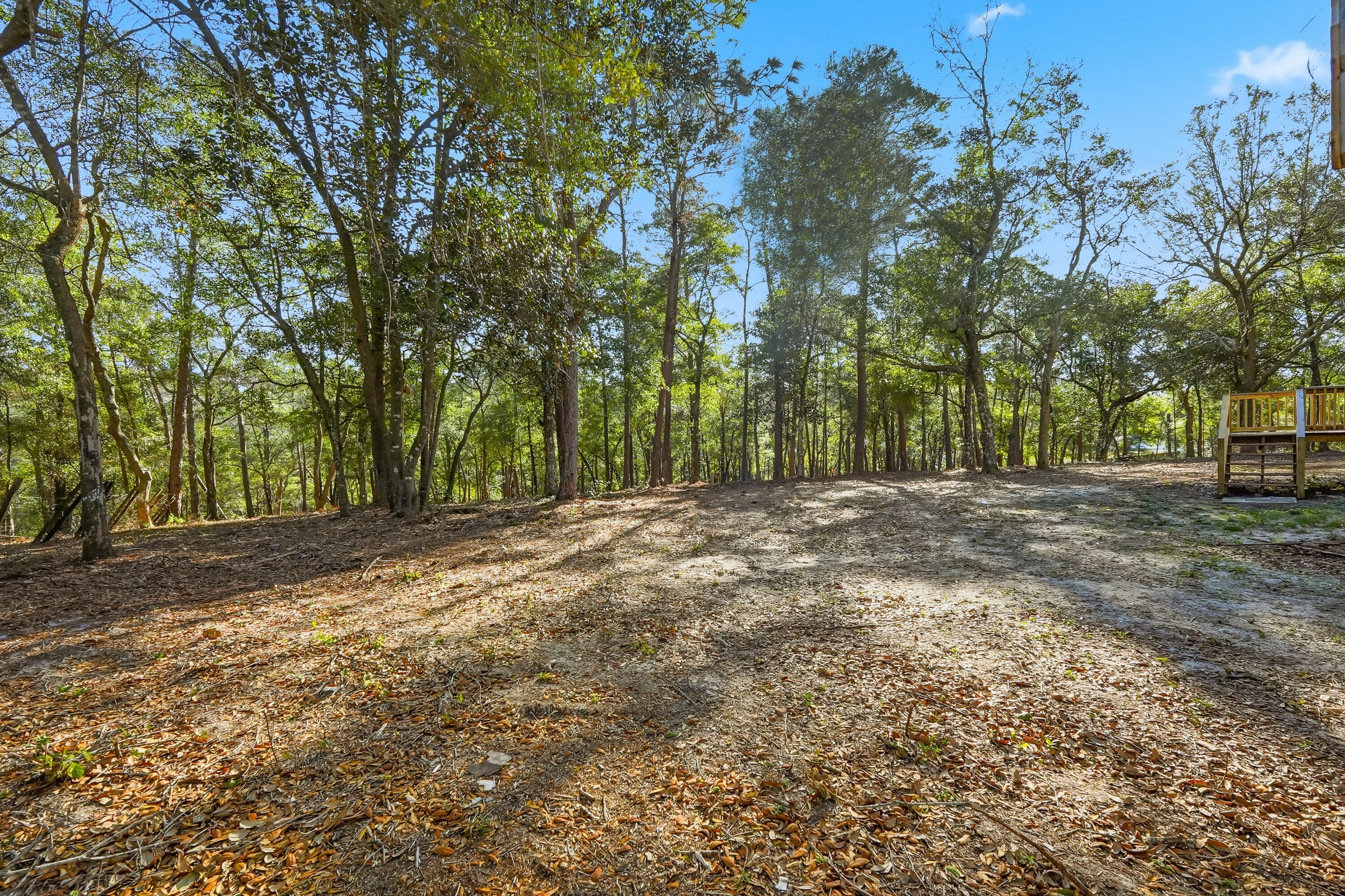 482 Roberts Road East DeFuniak Springs, FL 32433 - Photo 57 of 61 a view of dirt yard with a large tree