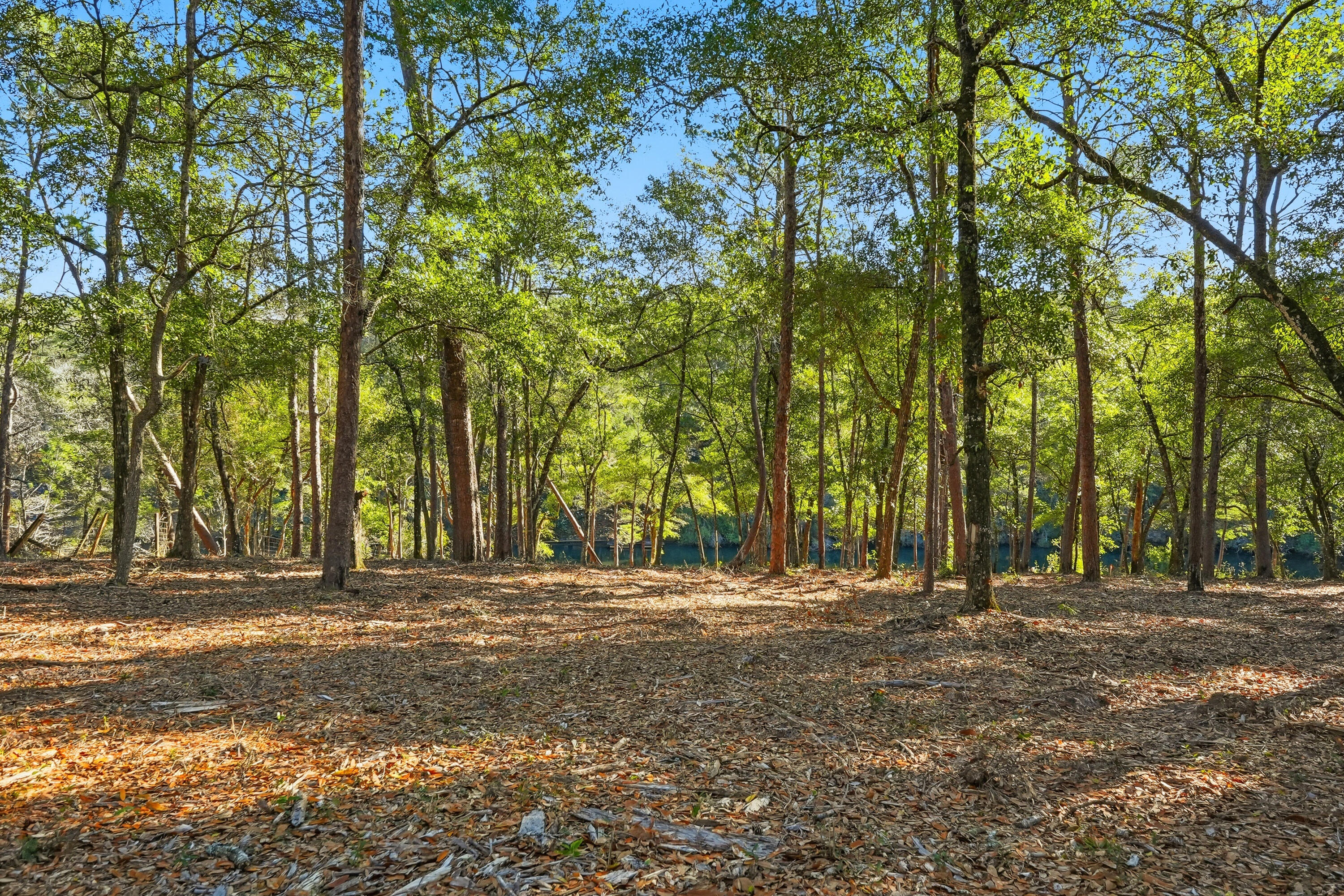 482 Roberts Road East DeFuniak Springs, FL 32433 - Photo 58 of 61 a view of outdoor space with trees