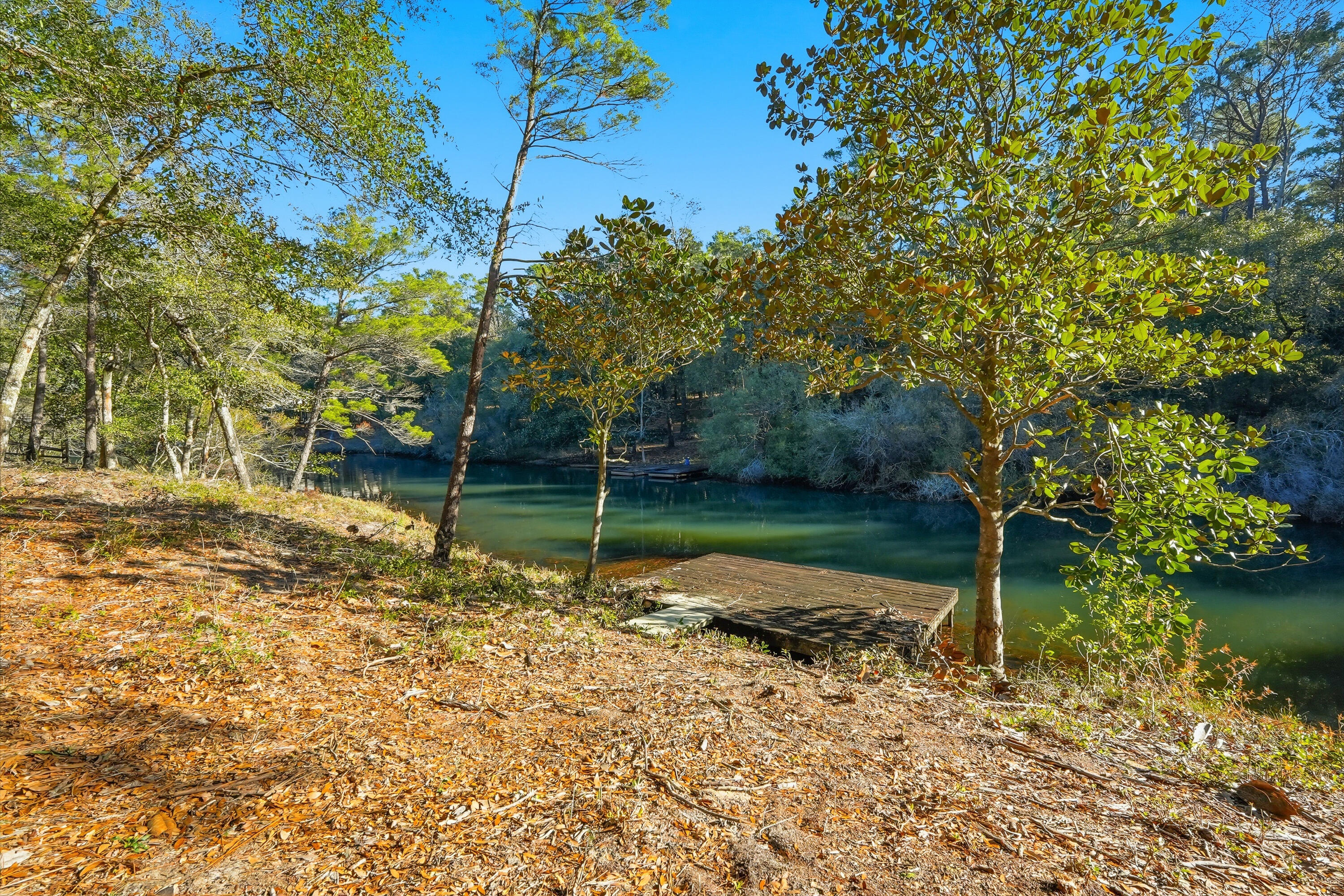 482 Roberts Road East DeFuniak Springs, FL 32433 - Photo 59 of 61 a backyard of a house with lots of green space