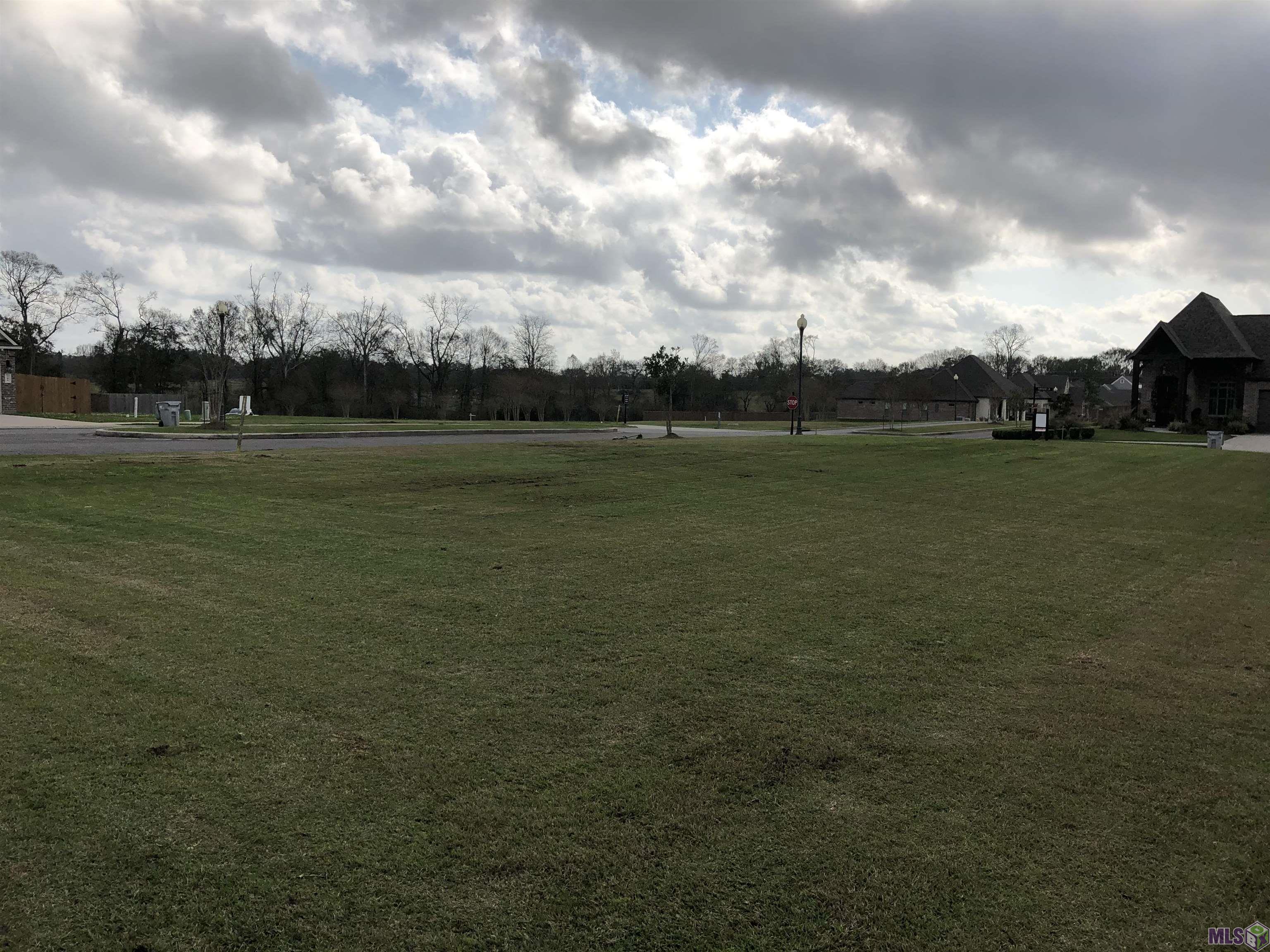 137 Tortoise Lane Broussard, LA 70518 - Photo 3 of 3