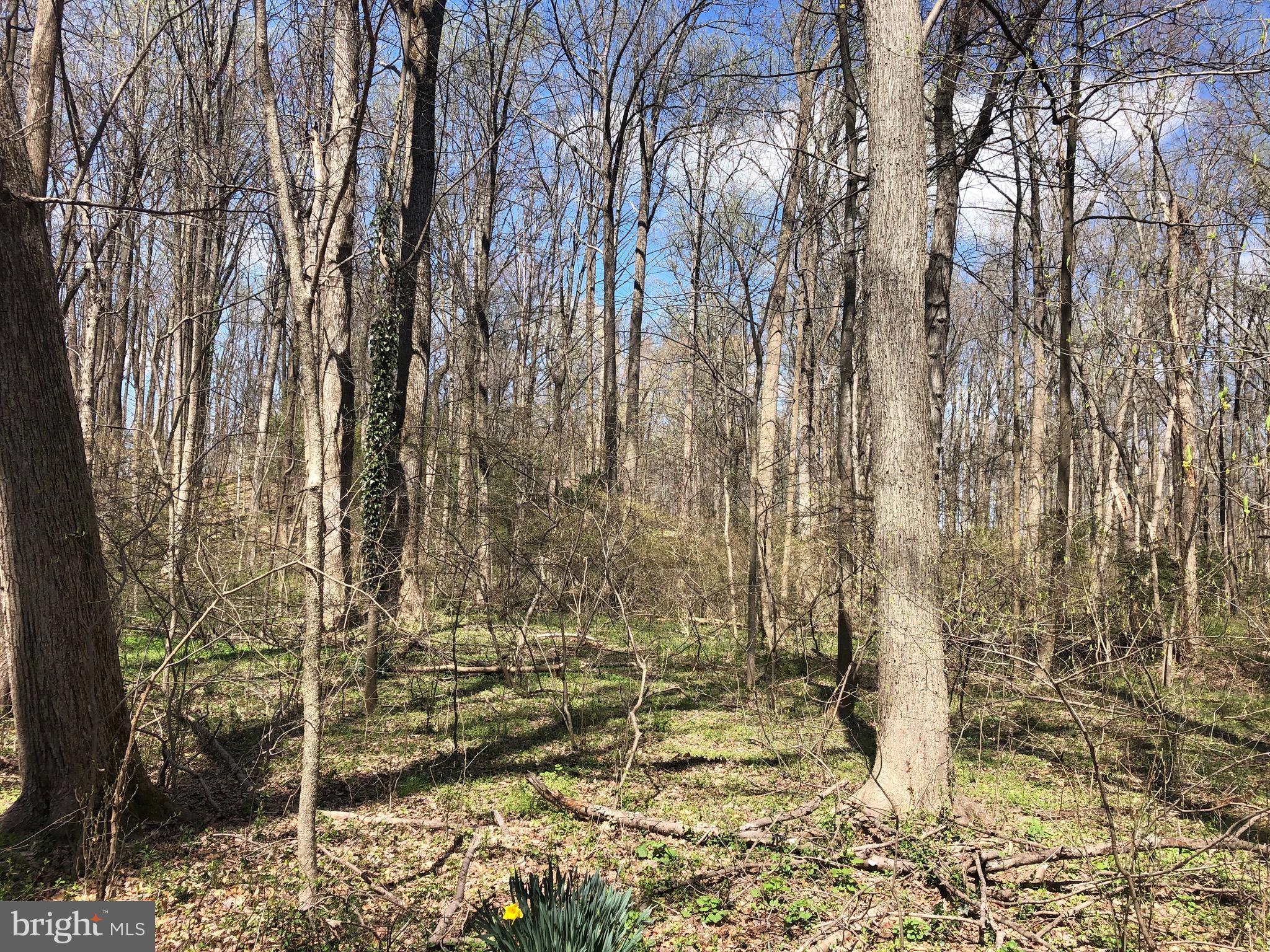 Davidsonville Road Gambrills, MD 21054 - Photo 8 of 8 Gallery Image 8