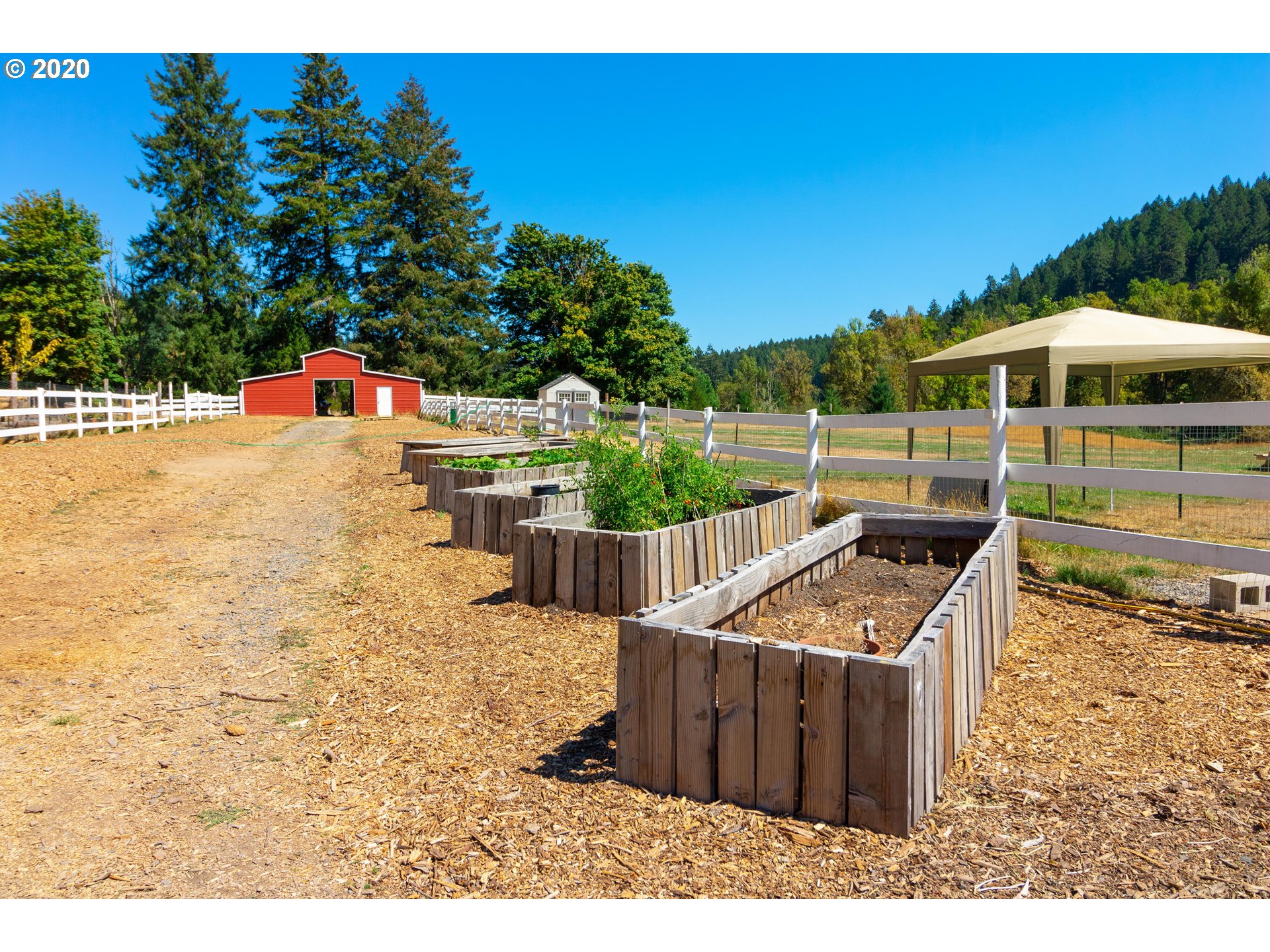 835 Skelly Road Yoncalla, OR 97499 - Photo 5 of 31 Gallery Image 5
