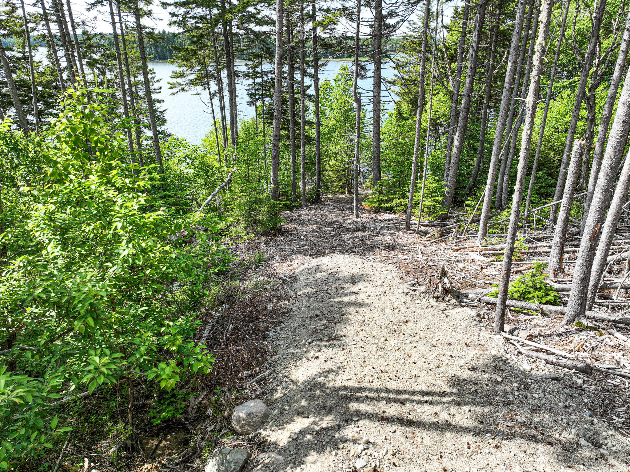 39 Chambers Point Road Roque Bluffs, ME 04654 - Photo 8 of 75 DJI_0350