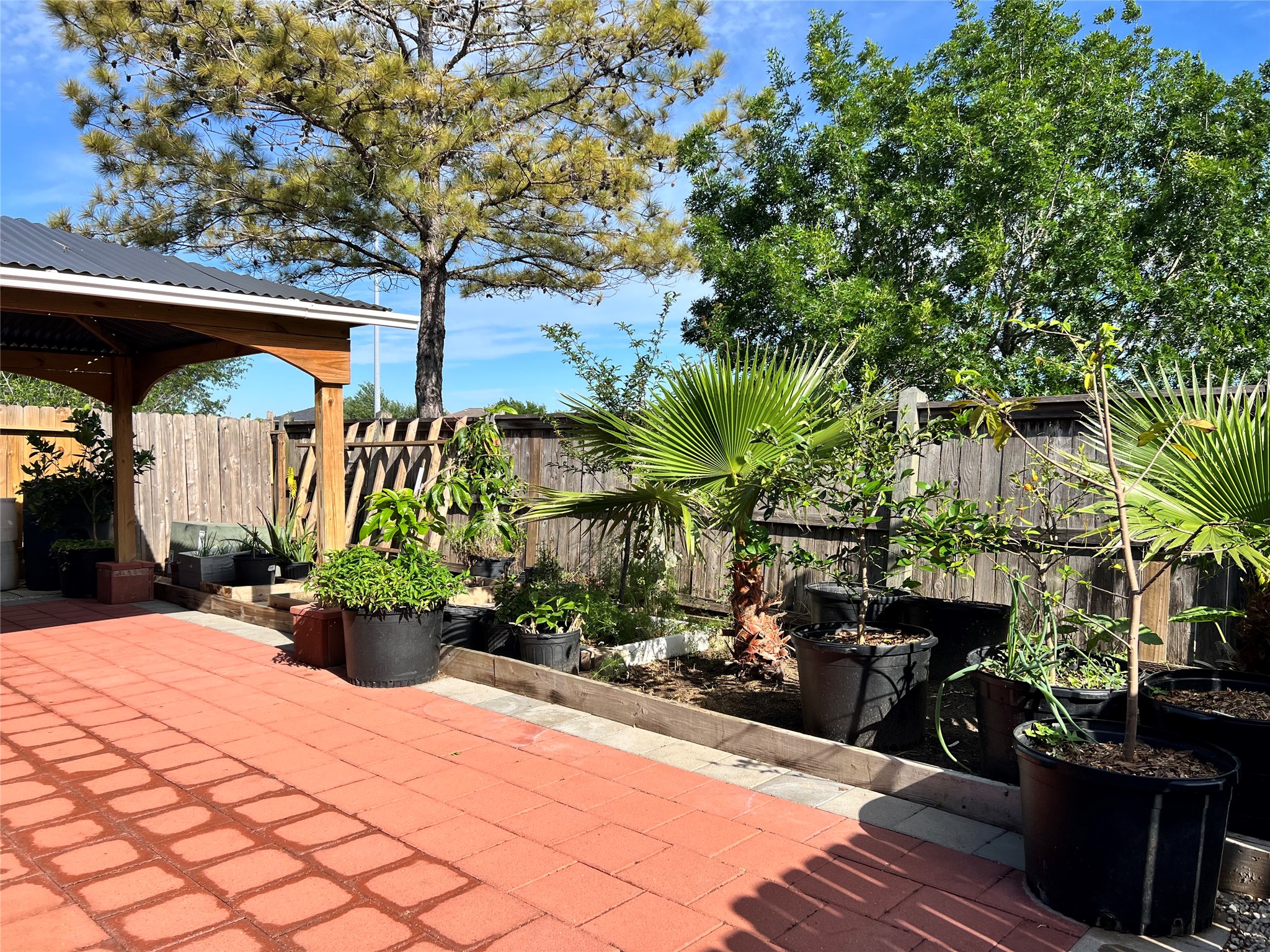 9111 Fuqua Ridge Lane Houston, TX 77075 - Photo 20 of 21 a view of a street with potted plants