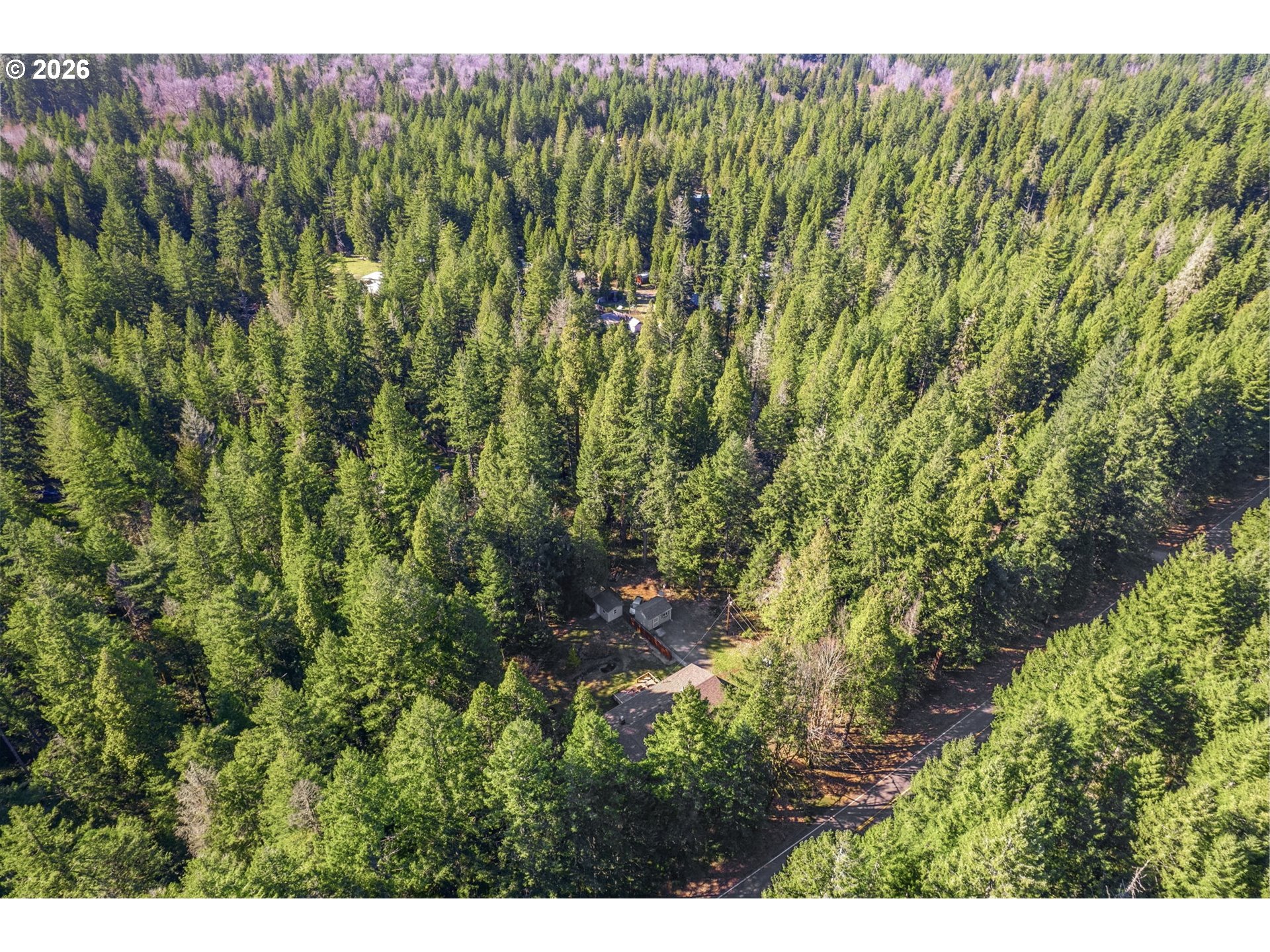 91638 Horse Creek Road Blue River, OR 97413 - Photo 43 of 45