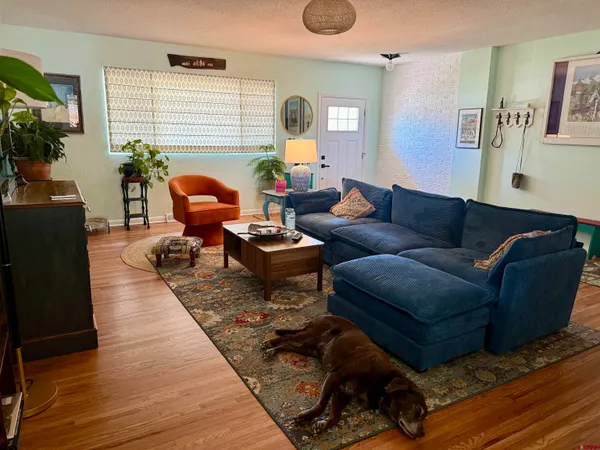 a living room with furniture or couch and a window