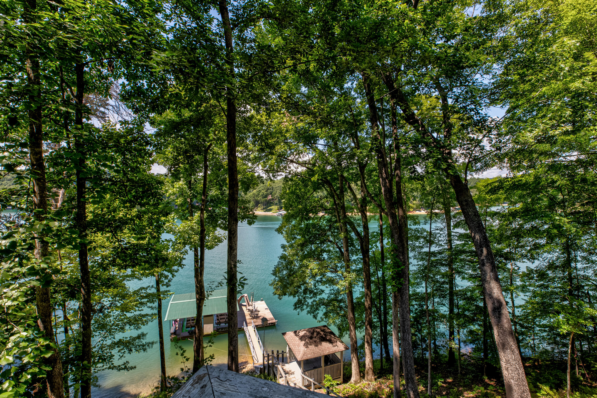1909 Cove Pointe Road La Follette, TN 37766 - Photo 7 of 40 1909 Cove Pointe Rd-7