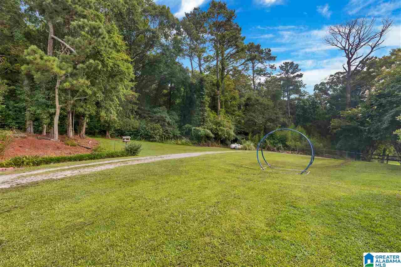 4367 County Road 39 Oneonta, AL 35121 - Photo 28 of 34
