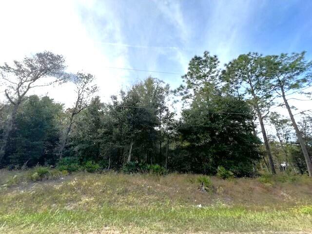 Tbd Southwest 125th Ct Road Dunnellon, FL 34432 - Photo 3 of 4 rolling hills front