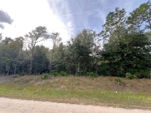 Tbd Southwest 125th Ct Road Dunnellon, FL 34432 - Photo 4 of 4 rolling hills front 2