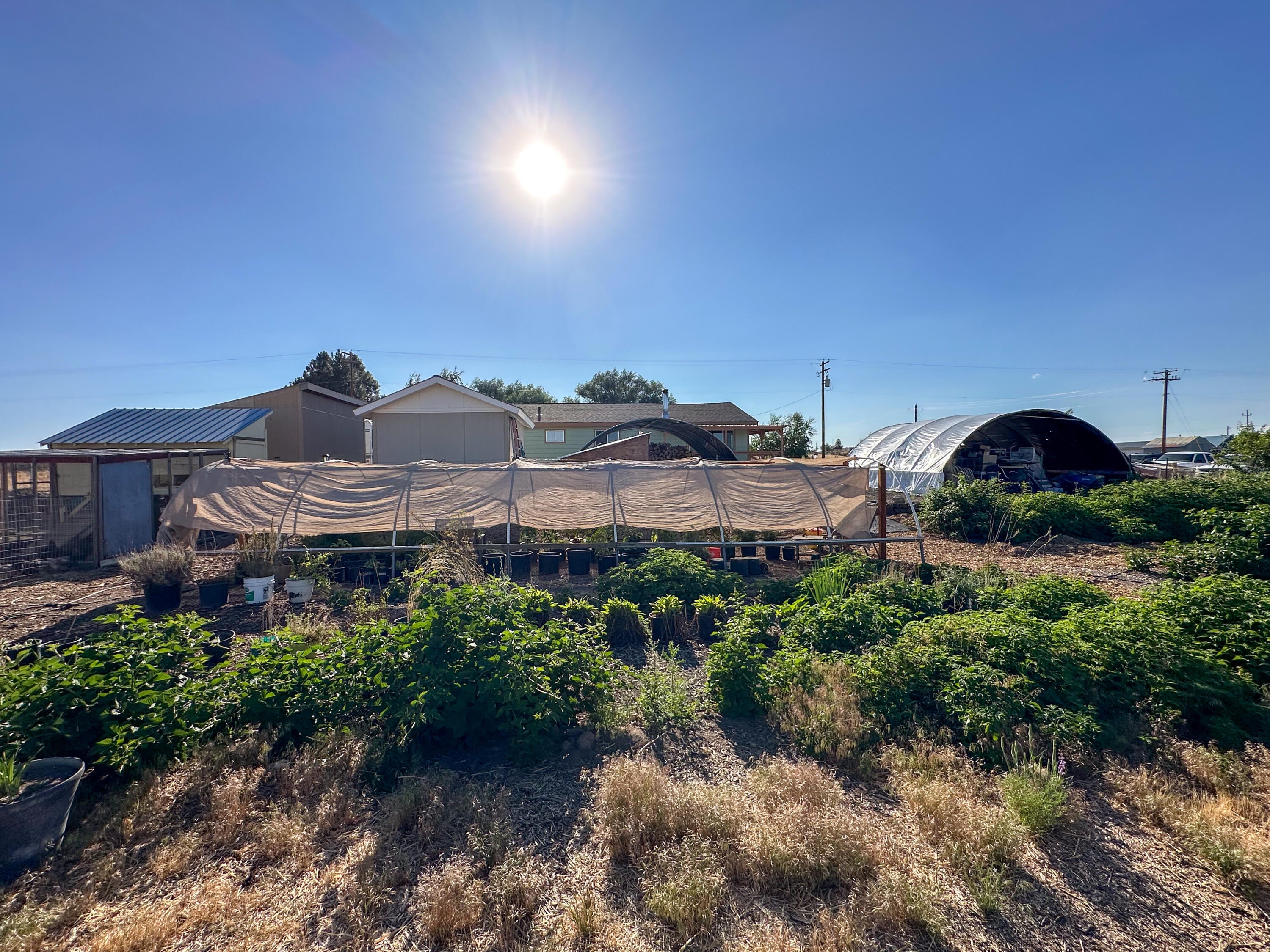23939 Yellow Jacket Springs Road Beatty, OR 97621 - Photo 61 of 72 Garden