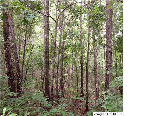 73 County Road, Unit 195 Randolph, AL 36792 - Photo 10 of 13