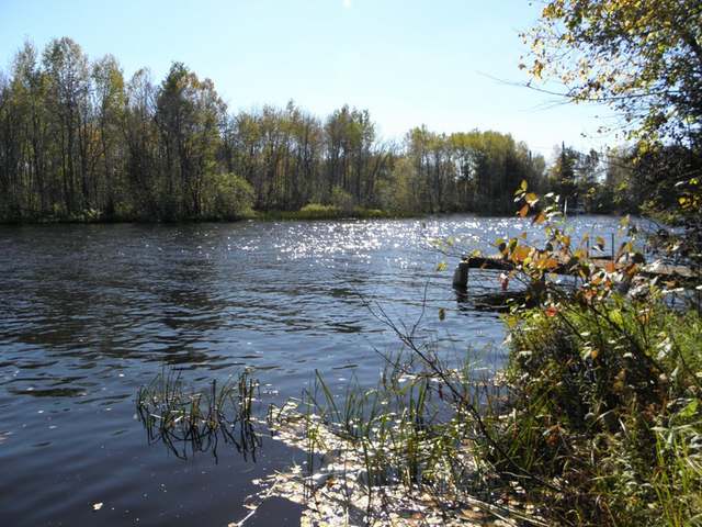 N9077 Elk River Road Phillips, WI 54555 - Photo 16 of 17 Gallery Image 16