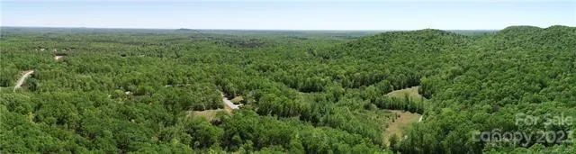 a view of a lush green forest with trees in the background