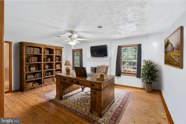 a view of a workspace with furniture and a potted plant