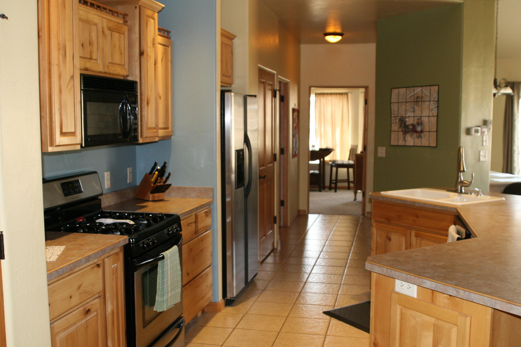 407 Kismet Street, Unit NO # Ridgway, CO 81432 - Photo 8 of 34 a kitchen with stainless steel appliances granite countertop a stove a sink and a refrigerator