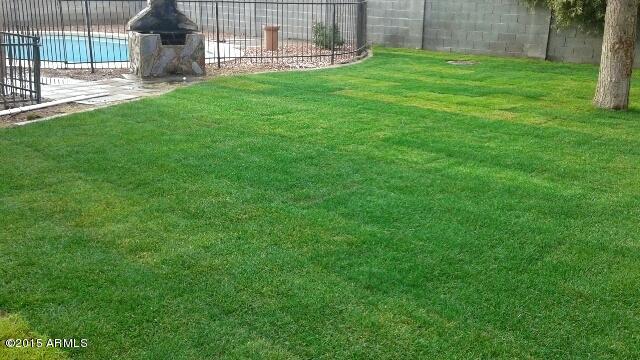 6108 West Cheery Lynn Road Phoenix, AZ 85033 - Photo 5 of 6 05-pool_yard