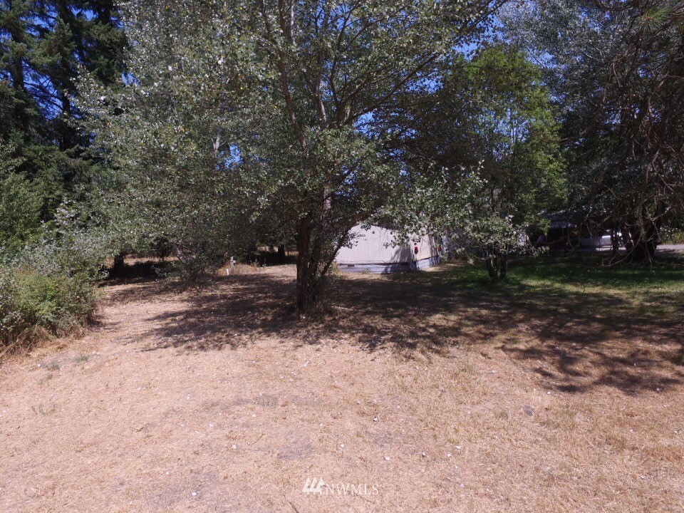 19315 Denmark Street Southwest Rochester, WA 98579 - Photo 13 of 13