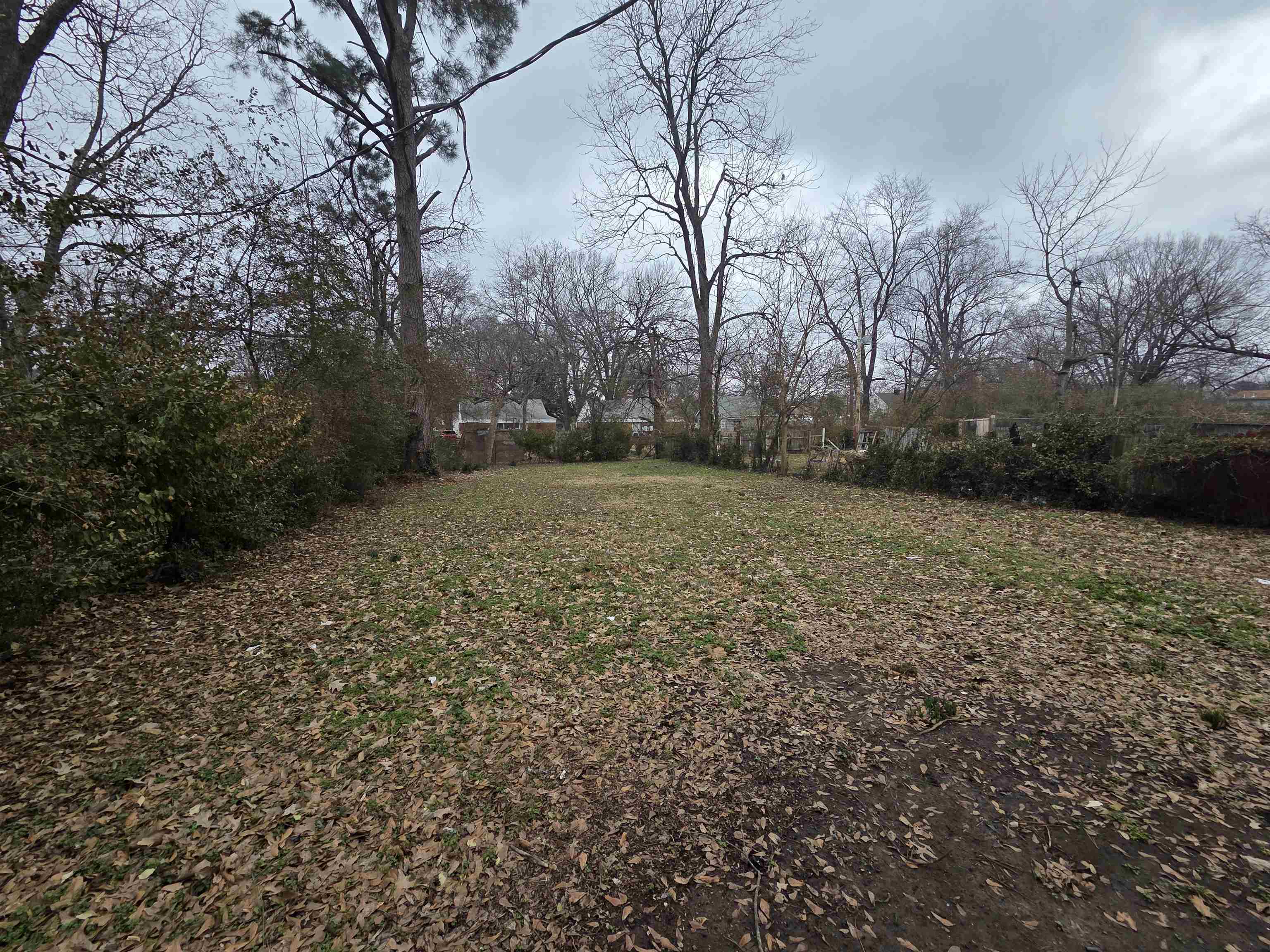 3458 Radford Road Memphis, TN 38111 - Photo 9 of 18 a view of a yard with an trees