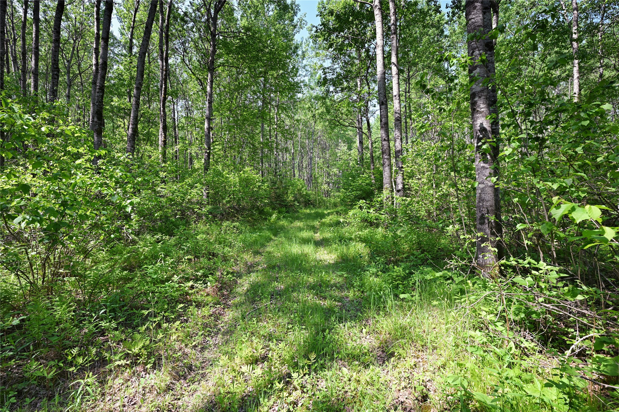 14199 County Highway Cable, WI 54821 - Photo 7 of 7