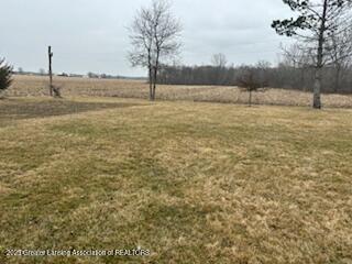 11487 Sloan Road Hubbardston, MI 48845 - Photo 12 of 17 IMG_0415
