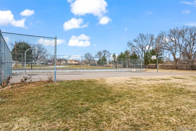 a view of a yard with a tree