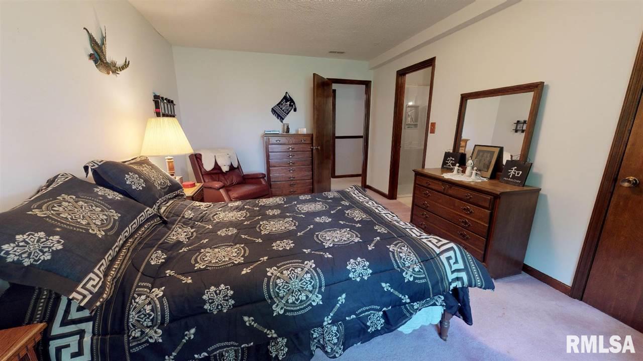 8880 Rhea Park Road Loami, IL 62661 - Photo 12 of 29