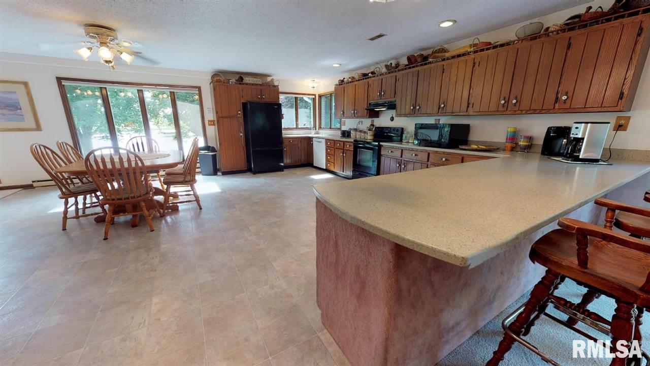 8880 Rhea Park Road Loami, IL 62661 - Photo 8 of 29