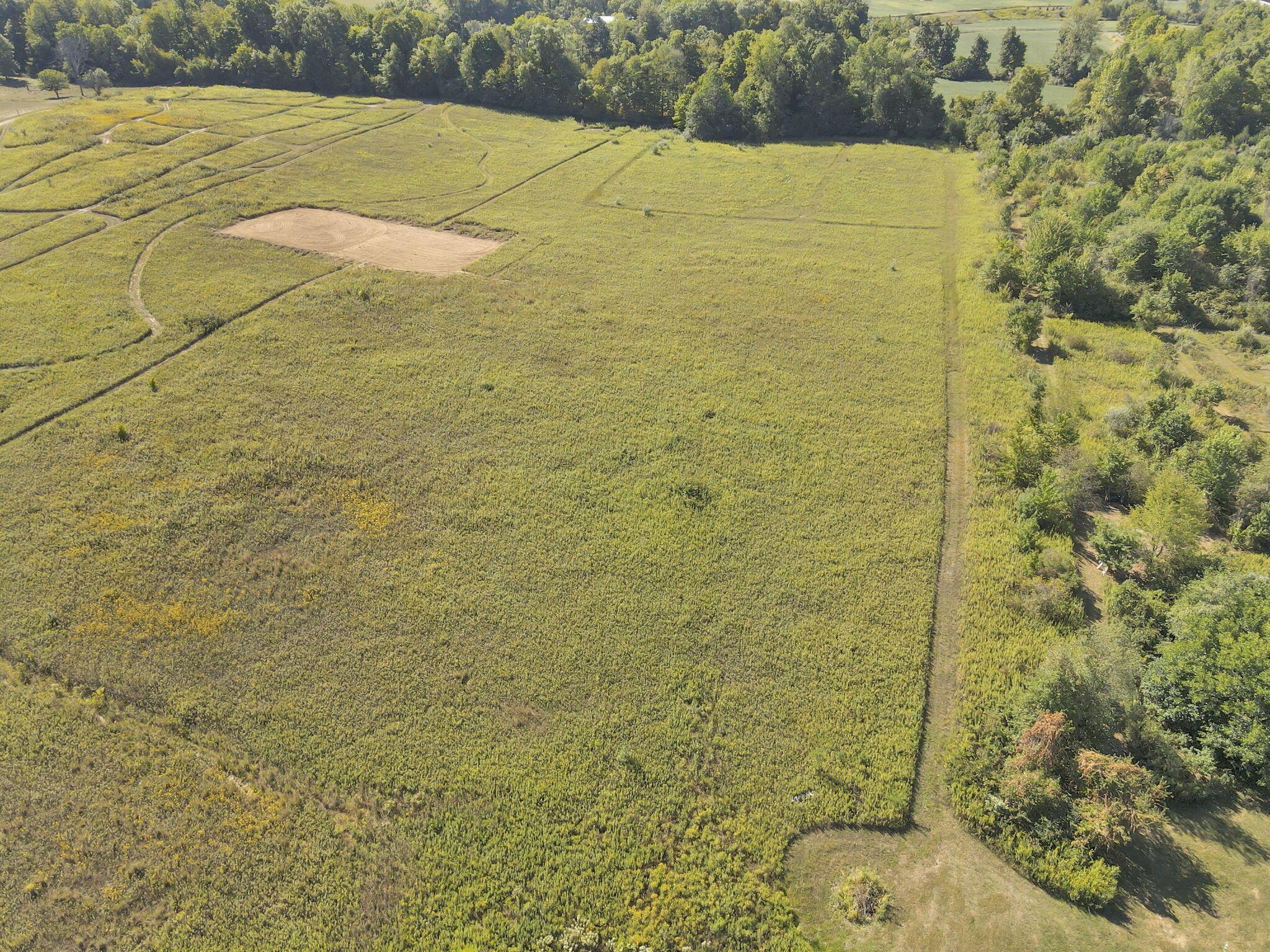 11261 Reussner Road Southwest Pataskala, OH 43062 - Photo 63 of 72 82-web-or-mls-dji_fly_20240905_110050_25