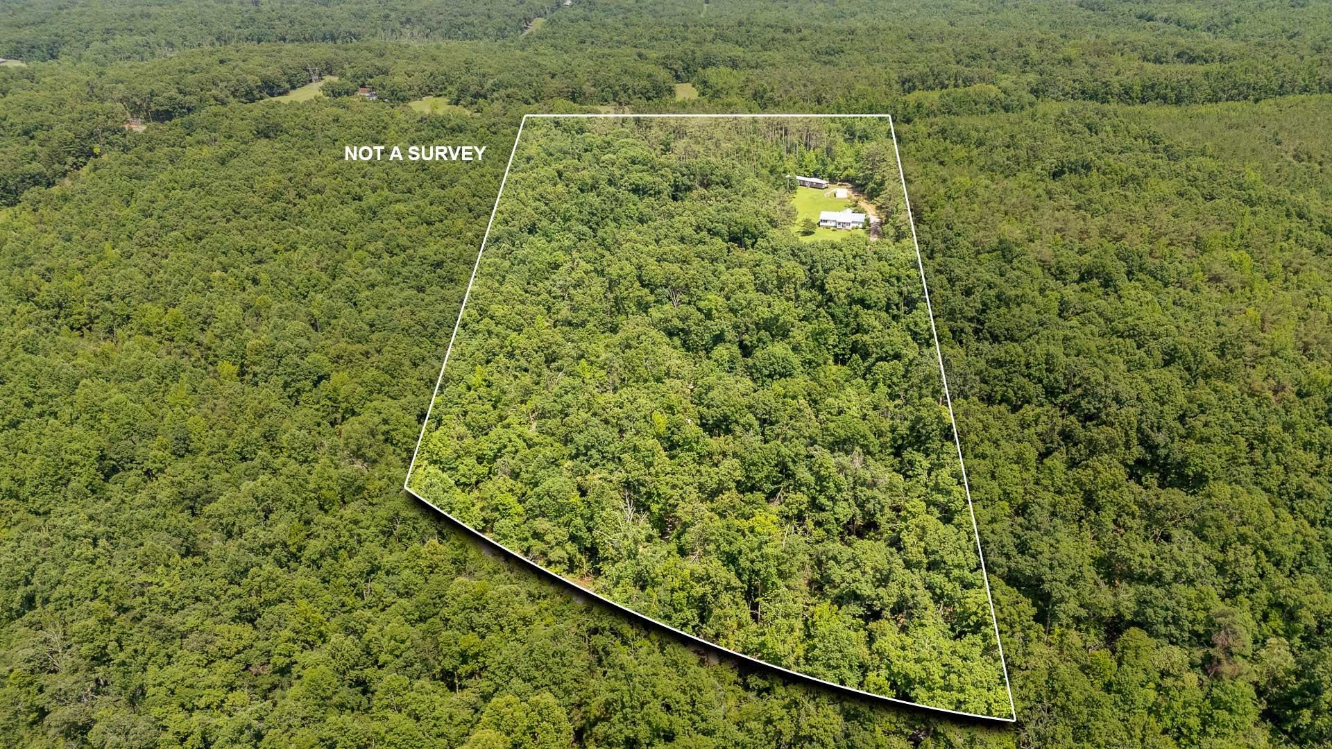 1640 Lick Creek Road Michie, TN 38357 - Photo 31 of 40