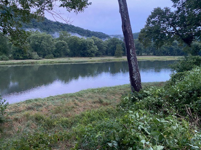 719 River Haven Road Tionesta, PA 16353 - Photo 3 of 16