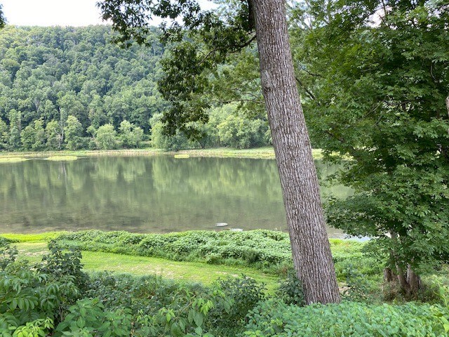 719 River Haven Road Tionesta, PA 16353 - Photo 4 of 16