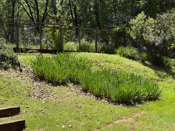 $319,000 | 14041 Druid Lane, Pine Grove, CA 95665