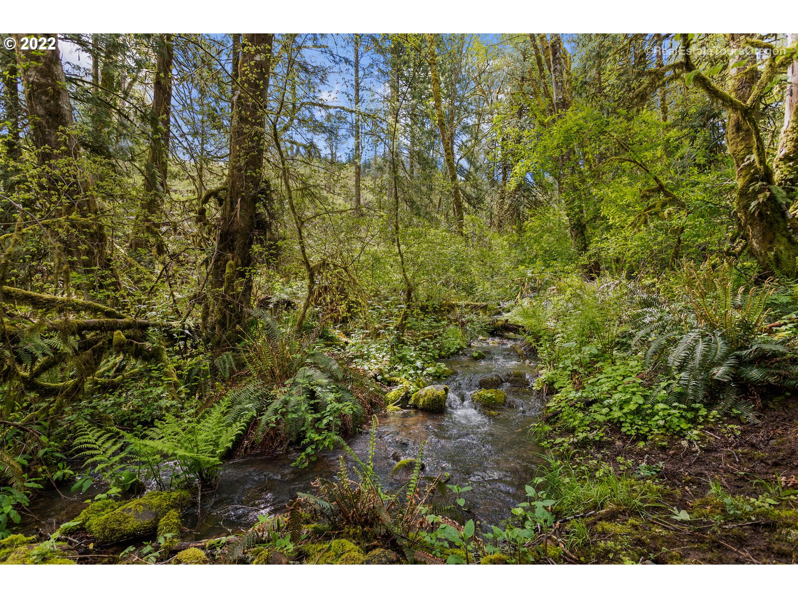 20250 Southwest Jaquith Road Newberg, OR 97132 - Photo 30 of 31 Gallery Image 30