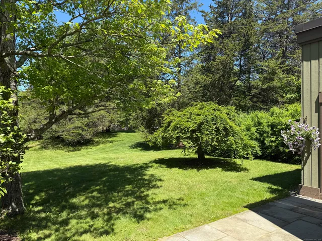 a view of yard with green space